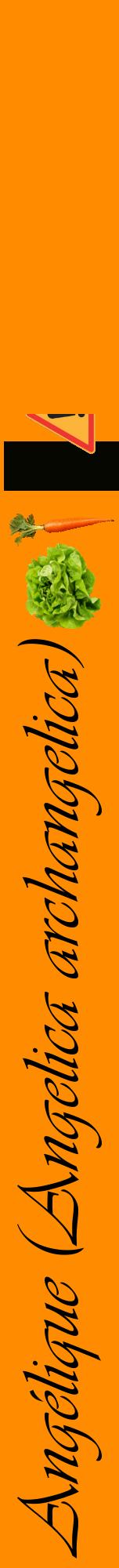 Étiquette de : Angelica archangelica - format a - style noire23viv avec comestibilité simplifiée