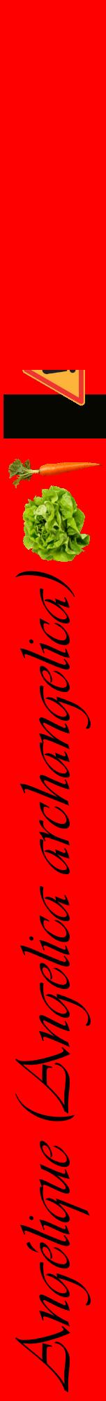 Étiquette de : Angelica archangelica - format a - style noire27viv avec comestibilité simplifiée