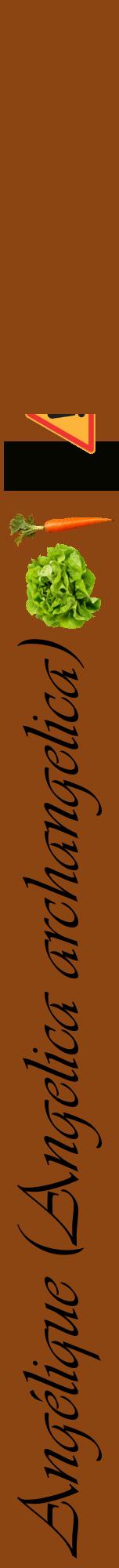 Étiquette de : Angelica archangelica - format a - style noire30viv avec comestibilité simplifiée