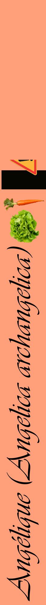 Étiquette de : Angelica archangelica - format a - style noire39viv avec comestibilité simplifiée