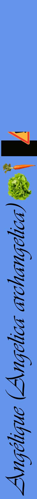 Étiquette de : Angelica archangelica - format a - style noire4viv avec comestibilité simplifiée