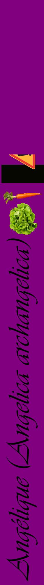Étiquette de : Angelica archangelica - format a - style noire46viv avec comestibilité simplifiée