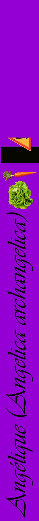 Étiquette de : Angelica archangelica - format a - style noire48viv avec comestibilité simplifiée