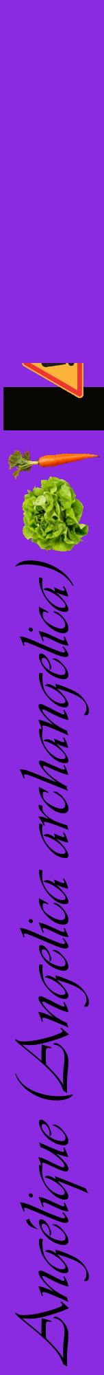 Étiquette de : Angelica archangelica - format a - style noire49viv avec comestibilité simplifiée