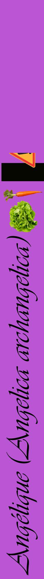Étiquette de : Angelica archangelica - format a - style noire50viv avec comestibilité simplifiée