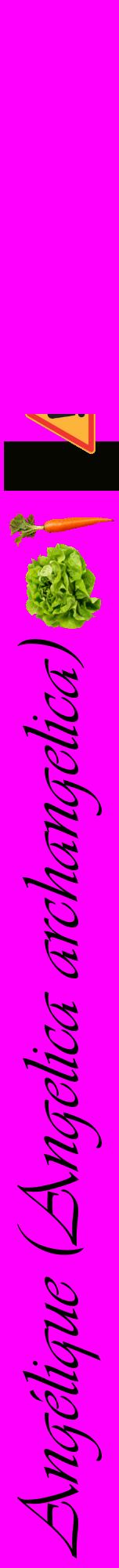 Étiquette de : Angelica archangelica - format a - style noire51viv avec comestibilité simplifiée
