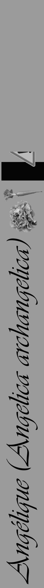 Étiquette de : Angelica archangelica - format a - style noire52viv avec comestibilité simplifiée - position verticale