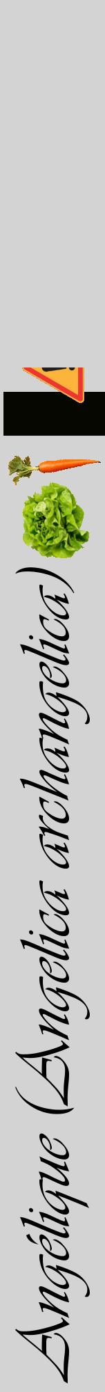 Étiquette de : Angelica archangelica - format a - style noire56viv avec comestibilité simplifiée
