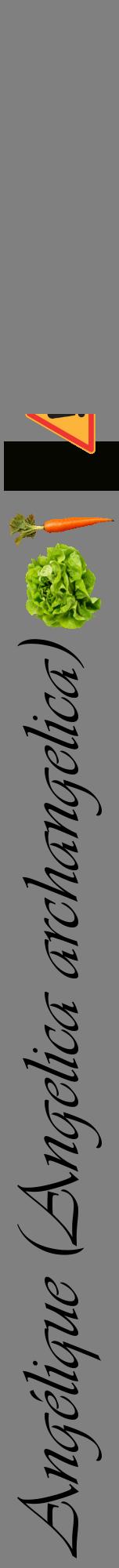 Étiquette de : Angelica archangelica - format a - style noire57viv avec comestibilité simplifiée