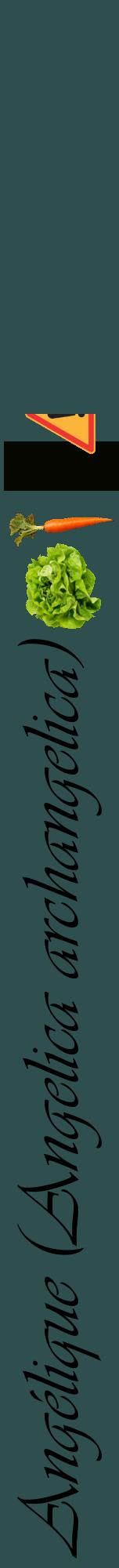 Étiquette de : Angelica archangelica - format a - style noire58viv avec comestibilité simplifiée