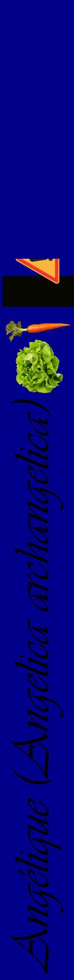 Étiquette de : Angelica archangelica - format a - style noire7viv avec comestibilité simplifiée