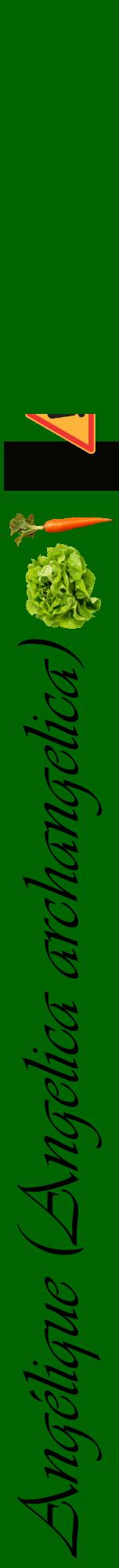 Étiquette de : Angelica archangelica - format a - style noire8viv avec comestibilité simplifiée
