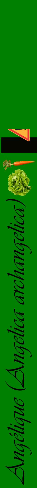 Étiquette de : Angelica archangelica - format a - style noire9viv avec comestibilité simplifiée