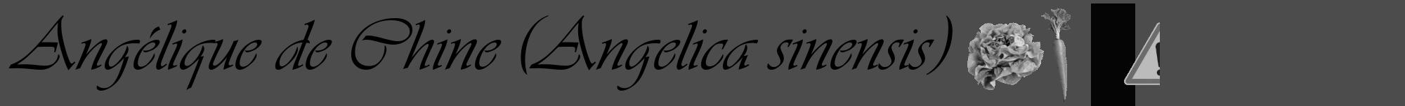 Étiquette de : Angelica sinensis - format a - style noire27viv avec comestibilité simplifiée