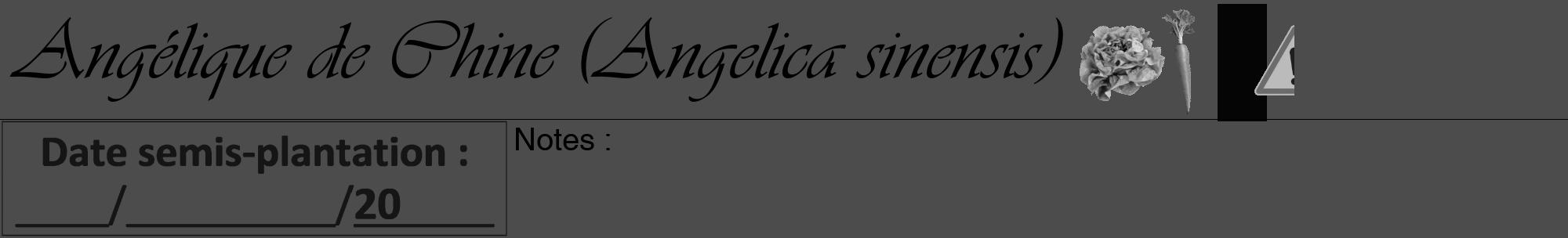 Étiquette de : Angelica sinensis - format a - style noire27viv avec comestibilité simplifiée