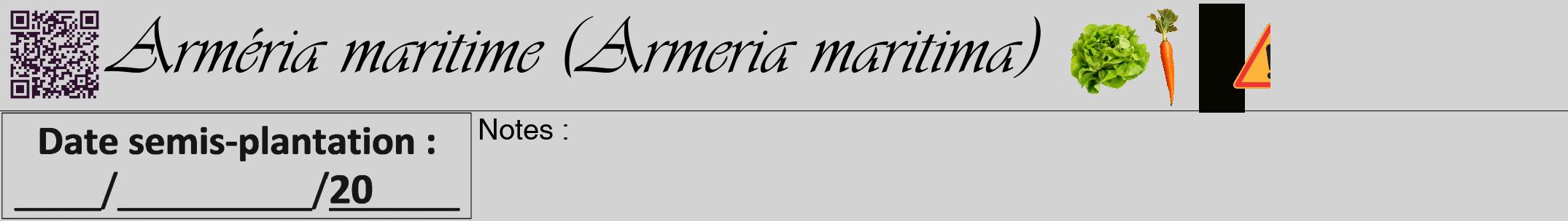 Étiquette de : Armeria maritima - format a - style noire56viv avec qrcode et comestibilité simplifiée