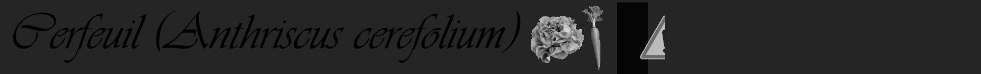 Étiquette de : Anthriscus cerefolium - format a - style noire47viv avec comestibilité simplifiée