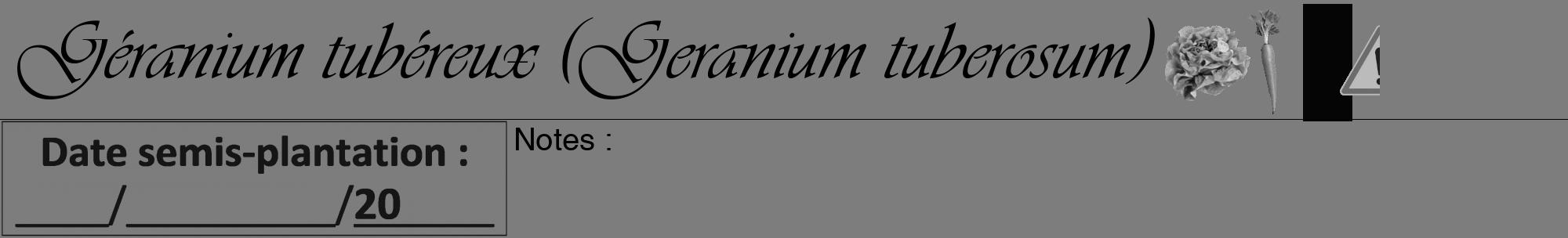 Étiquette de : Geranium tuberosum - format a - style noire35viv avec comestibilité simplifiée