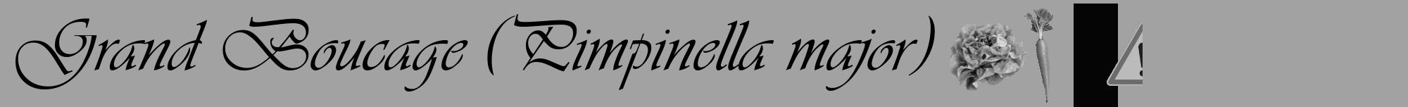 Étiquette de : Pimpinella major - format a - style noire38viv avec comestibilité simplifiée
