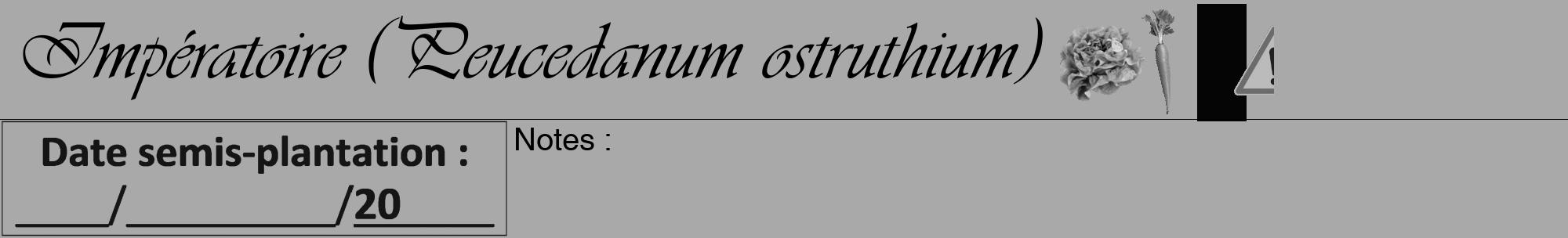 Étiquette de : Peucedanum ostruthium - format a - style noire13viv avec comestibilité simplifiée
