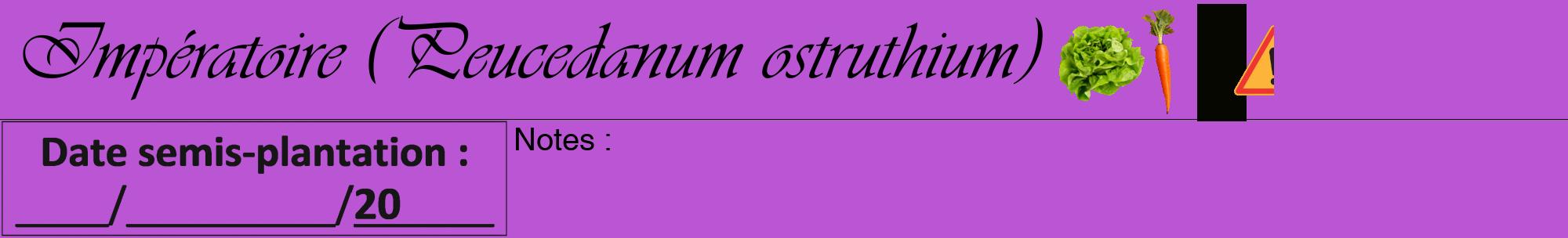 Étiquette de : Peucedanum ostruthium - format a - style noire50viv avec comestibilité simplifiée