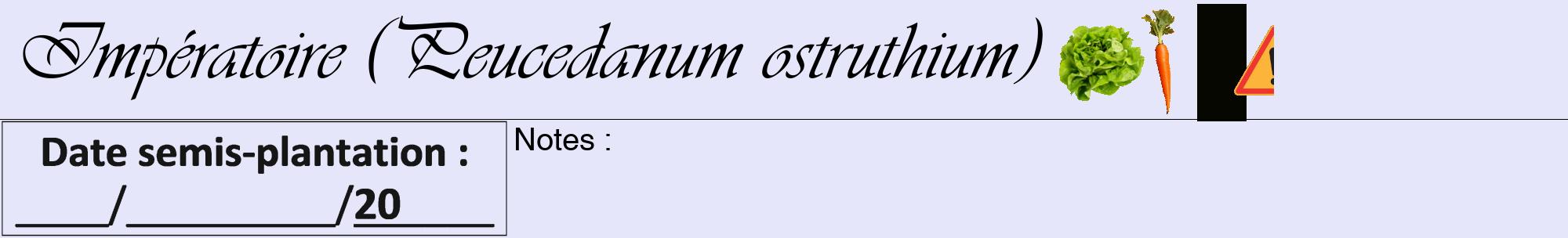 Étiquette de : Peucedanum ostruthium - format a - style noire55viv avec comestibilité simplifiée