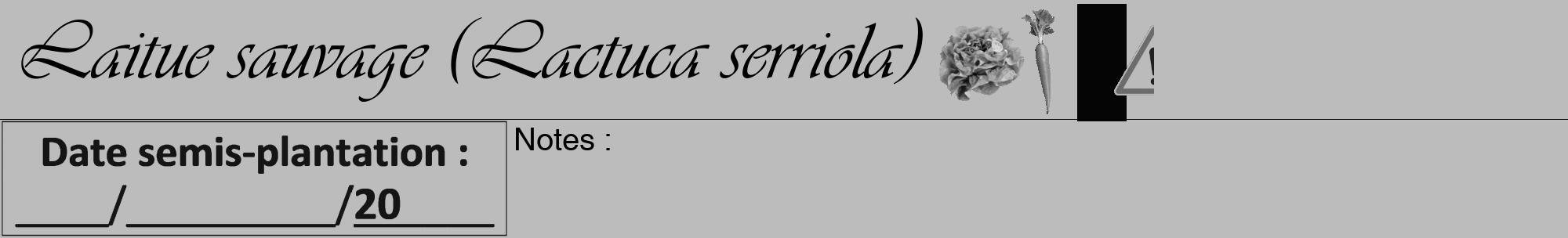 Étiquette de : Lactuca serriola - format a - style noire1viv avec comestibilité simplifiée