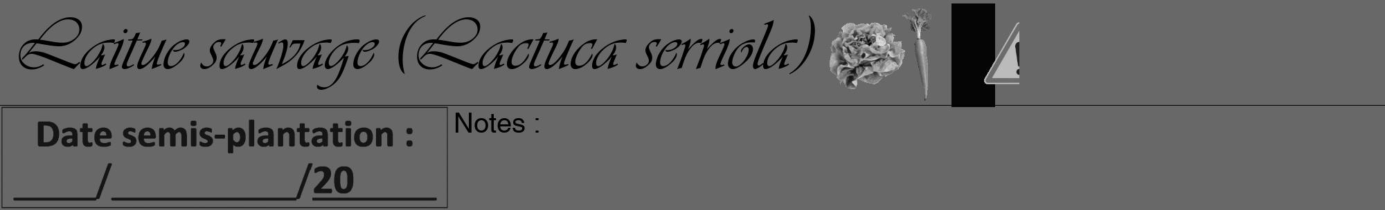 Étiquette de : Lactuca serriola - format a - style noire6viv avec comestibilité simplifiée
