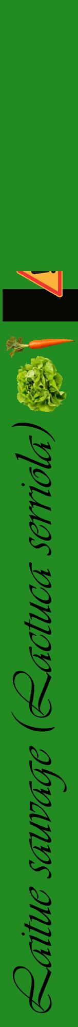 Étiquette de : Lactuca serriola - format a - style noire10viv avec comestibilité simplifiée