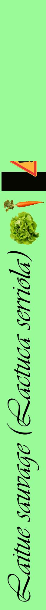 Étiquette de : Lactuca serriola - format a - style noire14viv avec comestibilité simplifiée