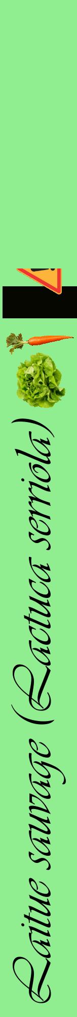 Étiquette de : Lactuca serriola - format a - style noire15viv avec comestibilité simplifiée