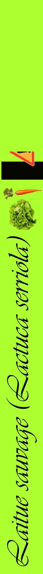 Étiquette de : Lactuca serriola - format a - style noire17viv avec comestibilité simplifiée