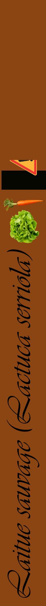 Étiquette de : Lactuca serriola - format a - style noire30viv avec comestibilité simplifiée