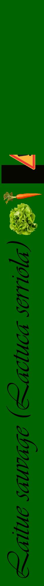 Étiquette de : Lactuca serriola - format a - style noire8viv avec comestibilité simplifiée