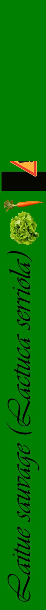 Étiquette de : Lactuca serriola - format a - style noire9viv avec comestibilité simplifiée