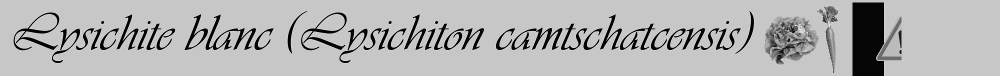 Étiquette de : Lysichiton camtschatcensis - format a - style noire15viv avec comestibilité simplifiée