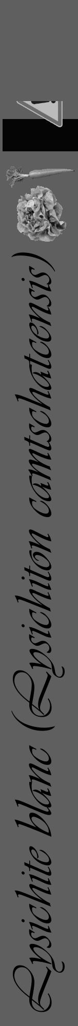Étiquette de : Lysichiton camtschatcensis - format a - style noire10viv avec comestibilité simplifiée - position verticale