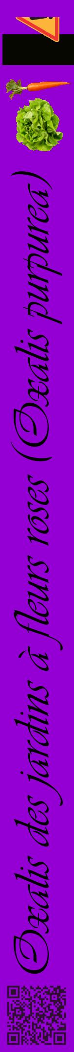 Étiquette de : Oxalis purpurea - format a - style noire48viv avec qrcode et comestibilité simplifiée