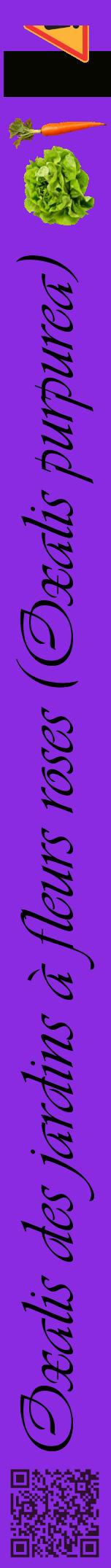 Étiquette de : Oxalis purpurea - format a - style noire49viv avec qrcode et comestibilité simplifiée