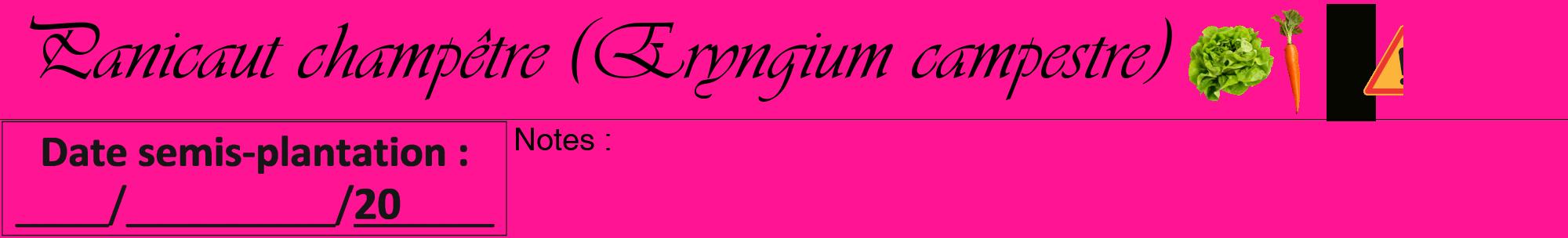 Étiquette de : Eryngium campestre - format a - style noire43viv avec comestibilité simplifiée