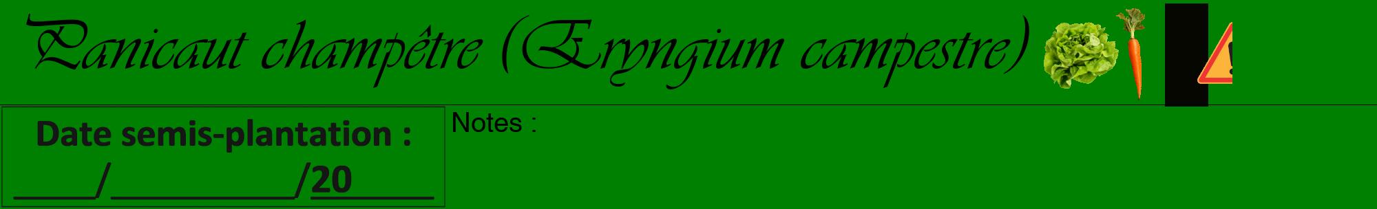 Étiquette de : Eryngium campestre - format a - style noire9viv avec comestibilité simplifiée