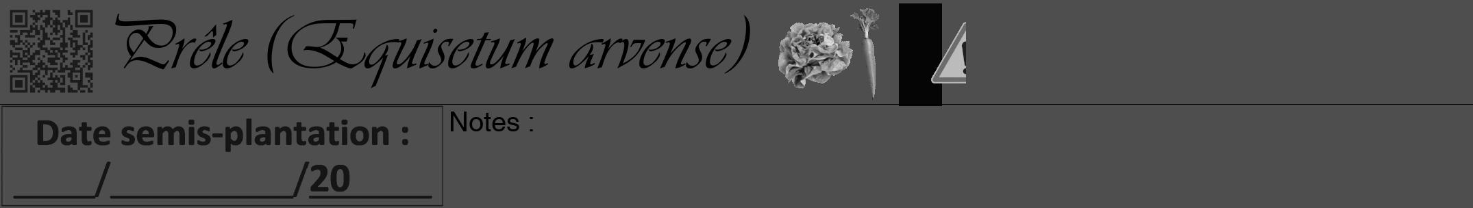 Étiquette de : Equisetum arvense - format a - style noire33viv avec qrcode et comestibilité simplifiée