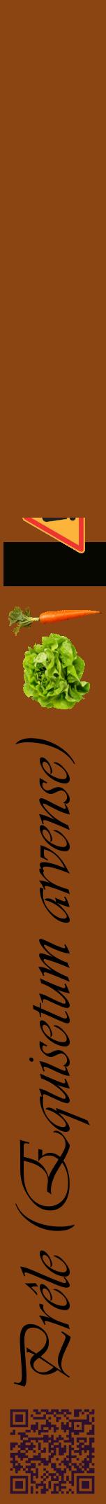 Étiquette de : Equisetum arvense - format a - style noire30viv avec qrcode et comestibilité simplifiée