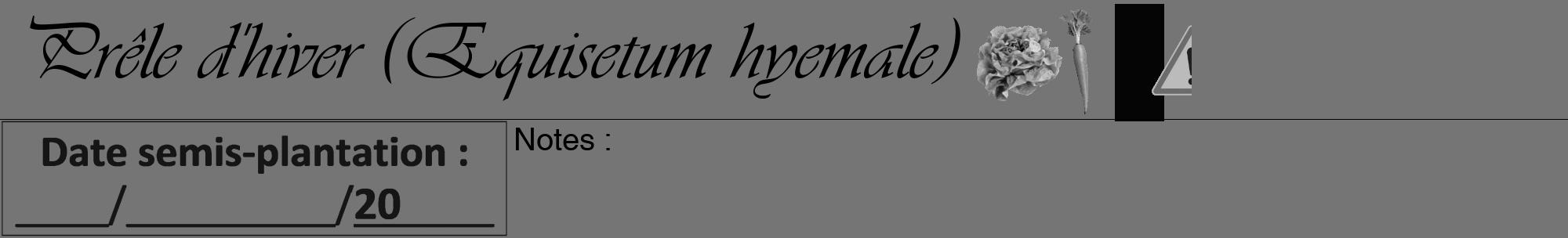 Étiquette de : Equisetum hyemale - format a - style noire5viv avec comestibilité simplifiée