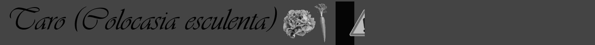Étiquette de : Colocasia esculenta - format a - style noire48viv avec comestibilité simplifiée
