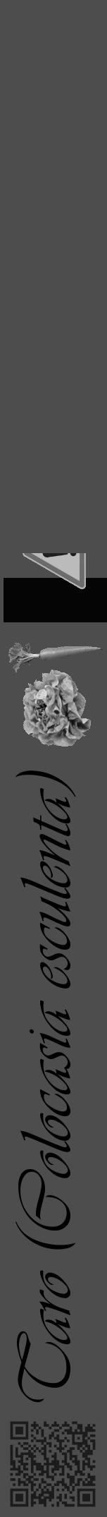 Étiquette de : Colocasia esculenta - format a - style noire28viv avec qrcode et comestibilité simplifiée - position verticale