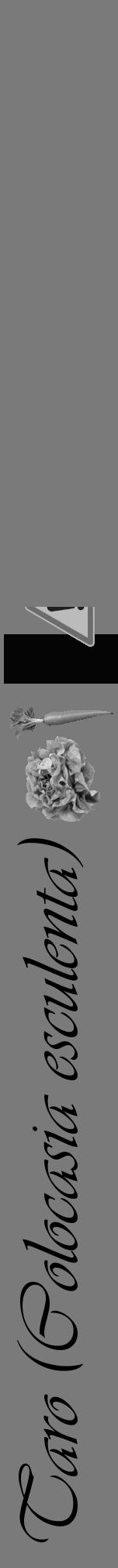 Étiquette de : Colocasia esculenta - format a - style noire3viv avec comestibilité simplifiée - position verticale