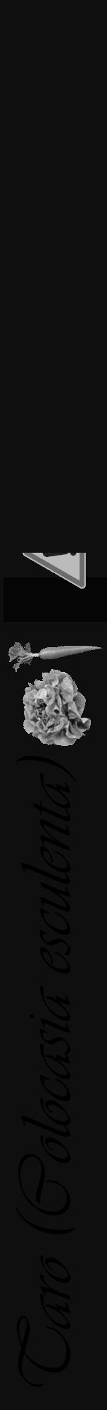 Étiquette de : Colocasia esculenta - format a - style noire7viv avec comestibilité simplifiée - position verticale