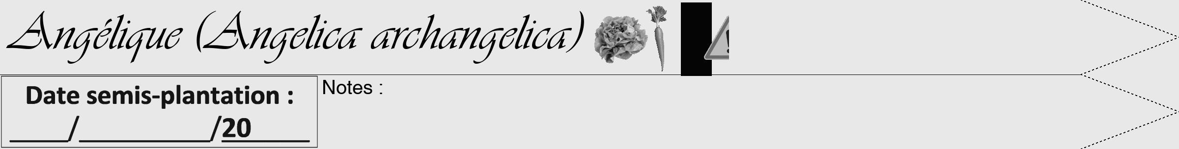 Étiquette de : Angelica archangelica - format b - style noire55viv avec comestibilité simplifiée