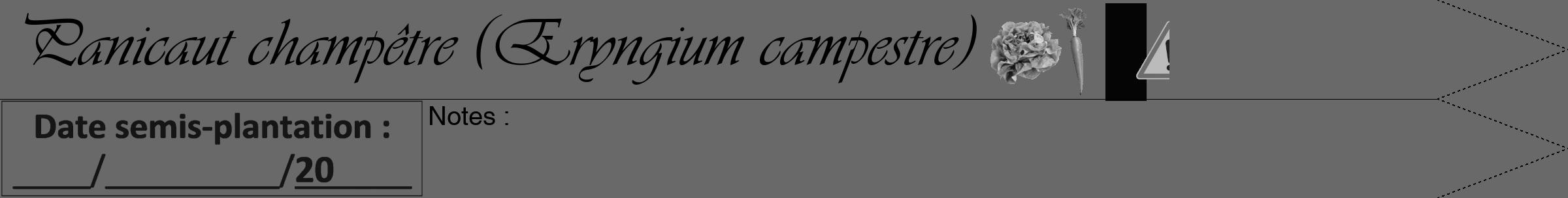 Étiquette de : Eryngium campestre - format b - style noire51viv avec comestibilité simplifiée